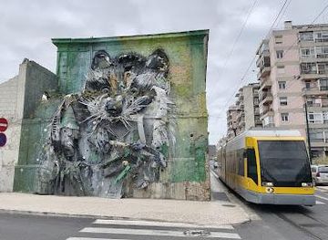 portugal/setubal/landmark/big-raccoon
