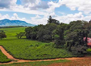 malawi/mulanje-massif/landmark/africa-wild-truck