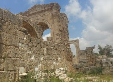 lebanon/tyre/landmark/tyre-coast-nature-reserve