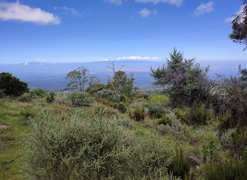 kenya/eastern-region/landmark/mount-kenya-national-park