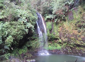 madagascar/antsiranana/landmark/montagne-d-ambre-nationalpark