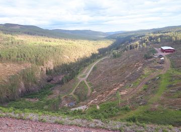 sweden/idre-fjall/landmark/restaurang-lodjuret
