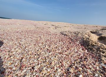 oman/wahiba-sands/landmark/pink-beach
