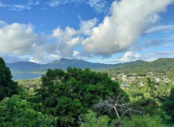 mayotte/chirongui/landmark/manga-mena-concept-food