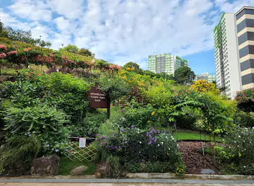 Woodlands Botanical Garden