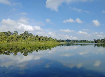 singapore/clarke-quay/landmark/treetop-walk