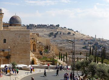 israel/jerusalem/landmark/the-western-wall-heritage-fund-tours-of-forgiveness-group-tours-tours-in-jerusalem-hanukkah-tours-bar-mitzvah-bat-mitzvah-halakha