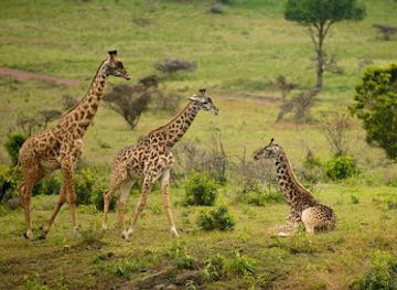 tanzania/kilimanjaro-region/landmark/arusha-national-park