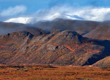 iceland/north-iceland/landmark/lon