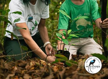 costa-rica/caribbean-coast/landmark/ecological-sanctuary