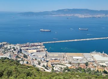 gibraltar/gibraltar-nature-reserve/landmark/gibraltar-official-rock-tours