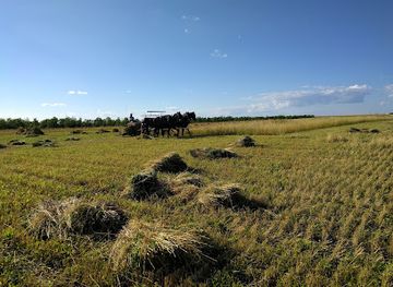 canada/prairies/landmark/motherwell-homestead-national-historic-site