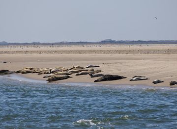 netherlands/wadden-islands/landmark/expeditie-waddenzee
