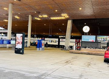 switzerland/zurich/landmark/denkmal-fur-hans-kunzi-von-carsten-holler-2017-kior