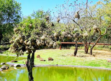 south-africa/hluhluwe-imfolozi-park/landmark/zulu-croc