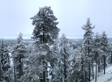 finland/ruka-kuusamo/landmark/wild-food-restaurant-rukan-kuksa