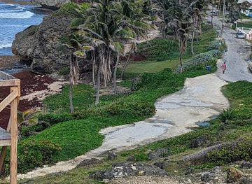 barbados/bathsheba/landmark/barclays-park