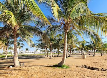 saudi-arabia/yanbu/landmark/yanbu-al-bahr-alhayah-al-malikiyah