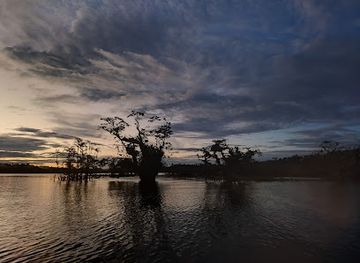 ecuador/amazon/landmark/jamu-lodge