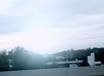 florida/orlando/landmark/visit-orlando