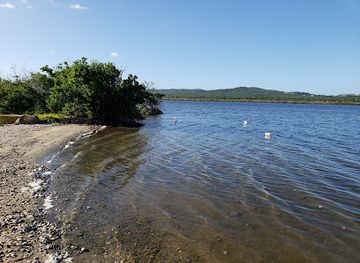 puerto-rico/vieques/landmark/puerto-mosquito-bioluminescent-bay