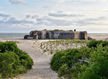 new-jersey/cape-may/landmark/fort-miles-battery-223