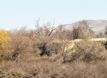 oregon/union-county/landmark/old-union-pacific-railroad-bed
