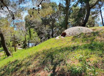albania/toskeria/landmark/concrete-bunkers
