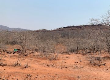 zambia/chirundu-valley/landmark/chirundu-fossil-forest