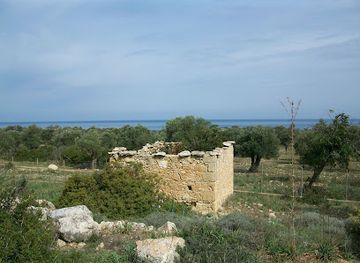 cyprus/kyrenia/landmark/alagadi-turtle-beach
