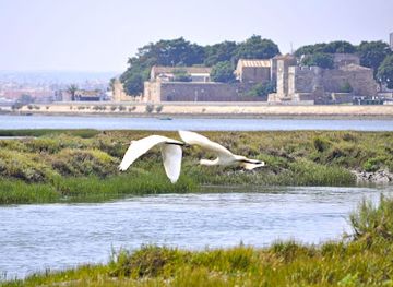 portugal/ria-formosa-natural-park/landmark/lands-eco-boat-tours-main-office-and-departures