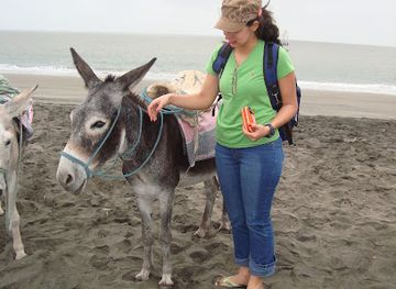 ecuador/highland-valleys/landmark/corredor-sitio-ceremonial-piedra-de-sacrificio-historia-punae