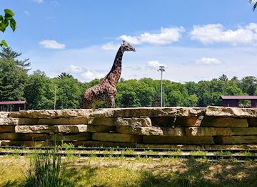 wisconsin/wisconsin-dells/landmark/timbavati-wildlife-park