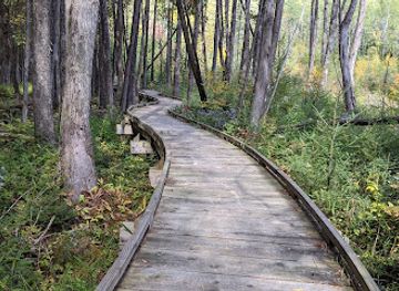 wisconsin/ice-age-trail/landmark/ice-age-trail-plover-river-segment