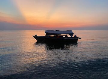 tanzania/kigoma/landmark/gombe-wild-chimp-safari