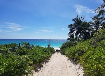 the-bahamas/harbour-island/landmark/pink-sands-beach