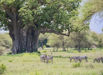 tanzania/northern-zone/landmark/tarangire-national-park