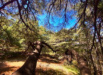 lebanon/chouf-district/landmark/barouk-reserve
