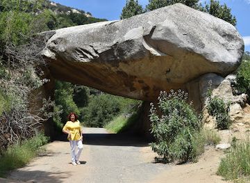 california/sequoia-national-park/landmark/general-sherman-tree