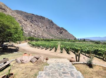 argentina/cafayate/landmark/finca-las-nubes