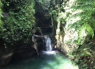 dominica/emerald-pool/landmark/e-voyage-hiking-elvis-dominica-tours