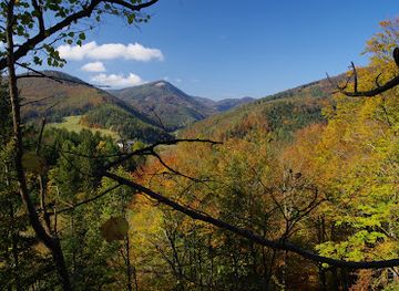 austria/vienna-woods/landmark/steinwandklamm