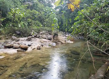 ecuador/pastaza-region/landmark/cascada-hola-vida