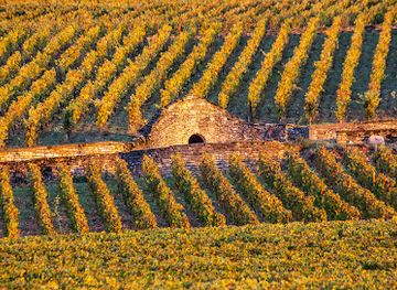 france/burgundy-vineyards/landmark/chemins-de-bourgogne