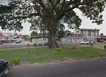bolivia/santa-cruz-de-la-sierra/landmark/arbol-historico