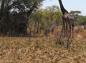 south-africa/bushveld/landmark/nylsvlei-nature-reserve