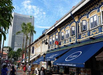 singapore/central-region/landmark/elephant-parade-haji-lane