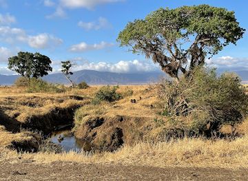 tanzania/arusha/landmark/kibowhy-safaris