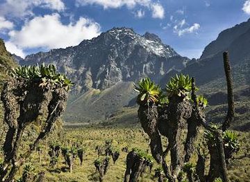 uganda/mbale/landmark/mount-elgon