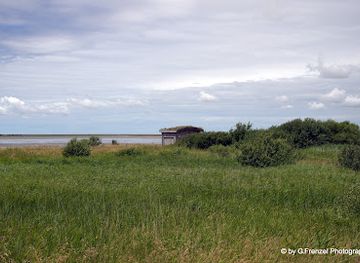 germany/north-frisia/landmark/beltringharder-koog
